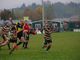 Rugby - Gli Orsi in casa sono troppo forti per il Capoterra