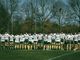 L'Under 19 Biella Rugby ha espugnato Alessandria -   Foto A. Lanza