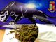 Sgominata filiera della droga: due minorenni denunciati e mezzo chilo di marijuana sequestrato FOTO