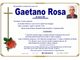 Gaetano Rosa