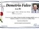 Demetrio Falco