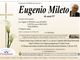 Eugenio Mileto