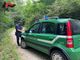 Carabinieri, l'Arma cerca 12 Tenenti per il Ruolo Forestale - Foto archivio newsbiella.it