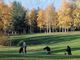 Golf, weekend di successo per il Golf Club biellese “Le Betulle”