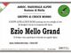 Ezio Mello Grand, partecipazione