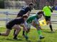 biella rugby