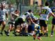 biella rugby