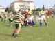 Rugby - Anversa guida Alghero alla vittoria contro gli Orsi