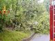 Intense raffiche di vento in alta Valle Elvo, alberi caduti sulla strada (foto di repertorio)