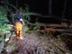 Pollone: Tromba d'aria in Burcina abbatte diversi grossi alberi. AIB al lavoro sino a notte inoltrata FOTO