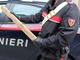 carabinieri canavese
