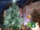 albero natale