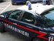 Miagliano: Donna denunciata per furto e danneggiamento
