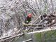 Diversi interventi dei vigili del fuoco per la neve Diversi interventi dei vigili del fuoco per la neve
