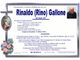 Rinaldo (Rino) Gallone