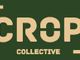 Biella: CROP Collective fotografa passato e presente della nostra città Biella: CROP Collective fotografa passato e presente della nostra città
