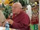 papa lama