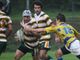 Rugby - Biella pareggia, McLean soddisfatto