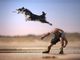 Occhieppo Superiore: Cani e fotografia, binomio perfetto mostrato dall’artista Claudio Piccoli