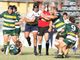 biella rugby