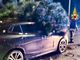 Biella, albero cade su di un'auto parcheggiata
