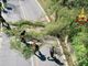 Albero su di un cavo della corrente lungo la Chiavazza - Ronco, intervengono i Vigili del Fuoco Albero su di un cavo della corrente lungo la Chiavazza - Ronco, intervengono i Vigili del Fuoco