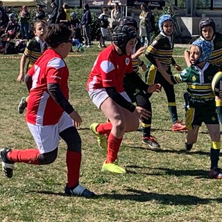 rugby torneo orso