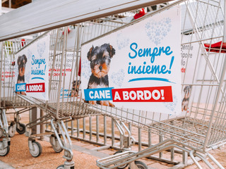 Shopping con il tuo amico a 4 zampe? Ora è possibile! Shopping con il tuo amico a 4 zampe? Ora è possibile!