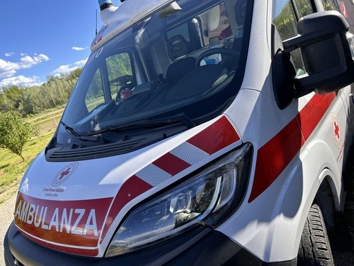 Dal Nord Ovest - Tragico incidente agricolo, muore un uomo di 75 anni (foto di repertorio) Dal Nord Ovest - Tragico incidente agricolo, muore un uomo di 75 anni (foto di repertorio)