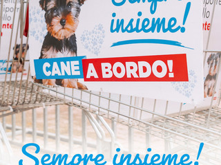 Shopping con il tuo amico a 4 zampe? Ora è possibile! Shopping con il tuo amico a 4 zampe? Ora è possibile!