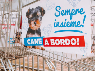 Shopping con il tuo amico a 4 zampe? Ora è possibile! Shopping con il tuo amico a 4 zampe? Ora è possibile!