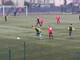 Calcio: Continua al meglio il percorso didattico sviluppato dall'Usd Città di Cossato Calcio: Continua al meglio il percorso didattico sviluppato dall'Usd Città di Cossato