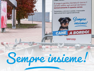 Shopping con il tuo amico a 4 zampe? Ora è possibile! Shopping con il tuo amico a 4 zampe? Ora è possibile!