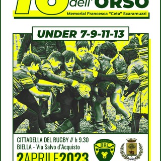 Brc, a Biella torna il 16° Torneo dell'Orso Brc, a Biella torna il 16° Torneo dell'Orso