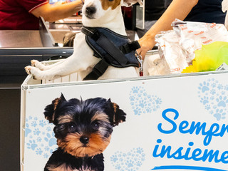 Shopping con il tuo amico a 4 zampe? Ora è possibile! Shopping con il tuo amico a 4 zampe? Ora è possibile!