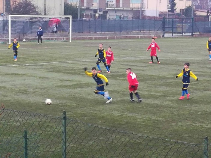 Calcio: Continua al meglio il percorso didattico sviluppato dall'Usd Città di Cossato Calcio: Continua al meglio il percorso didattico sviluppato dall'Usd Città di Cossato