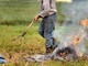 Abbruciamenti, rischio incendi e multe: cosa dice la normativa