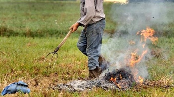 Abbruciamenti, rischio incendi e multe: cosa dice la normativa