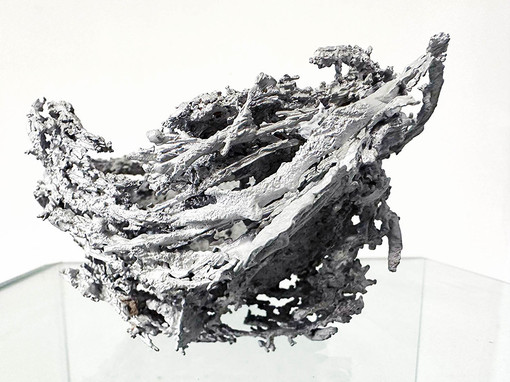 Maura Banfo vince “Be Natural Be Wild” con Nest all’insegna del dialogo tra tempo e natura