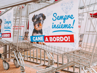 Shopping con il tuo amico a 4 zampe? Ora è possibile! Shopping con il tuo amico a 4 zampe? Ora è possibile!