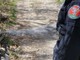 Sordevolo, brucia residui di felci vicino al bosco: multa da 400 euro