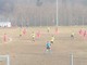 Masserano e Sandigliano 1-1 Masserano e Sandigliano 1-1