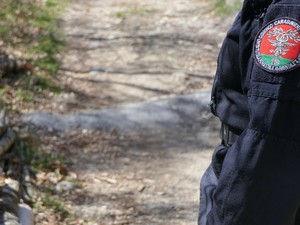 Sordevolo, brucia residui di felci vicino al bosco: multa da 400 euro