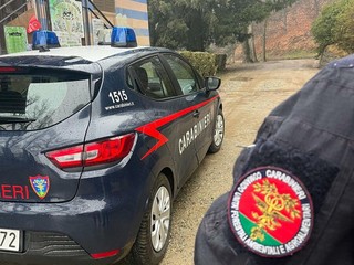 Sordevolo, brucia residui di felci vicino al bosco: multa da 400 euro