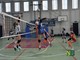 Bear Wool Volley, prime finali: L’U13F a Pallavolo Acqui, l’U14M al PVL l’U14F a ISIL Almese