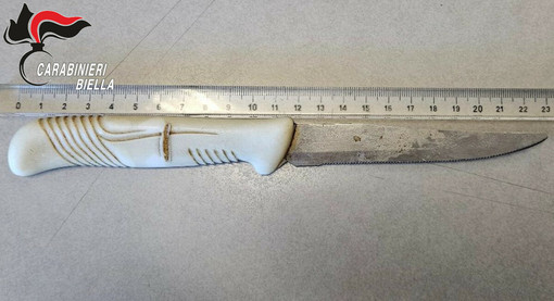 Spaccio nei boschi del Biellese, controlli a mezzi e persone: ci sono denunce e segnalazioni