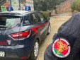 Sordevolo, brucia residui di felci vicino al bosco: multa da 400 euro