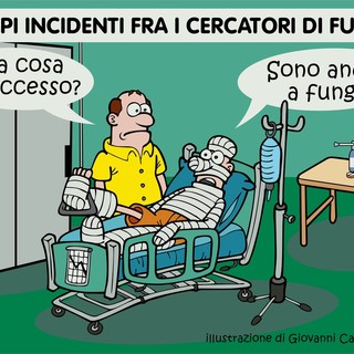 La stagione dei funghi finisce in corsia: Piemonte da bollino rosso