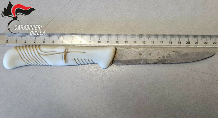 Spaccio nei boschi del Biellese, controlli a mezzi e persone: ci sono denunce e segnalazioni Spaccio nei boschi del Biellese, controlli a mezzi e persone: ci sono denunce e segnalazioni