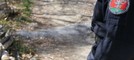 Sordevolo, brucia residui di felci vicino al bosco: multa da 400 euro
